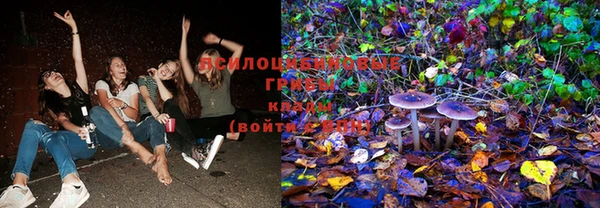 крисы Баксан