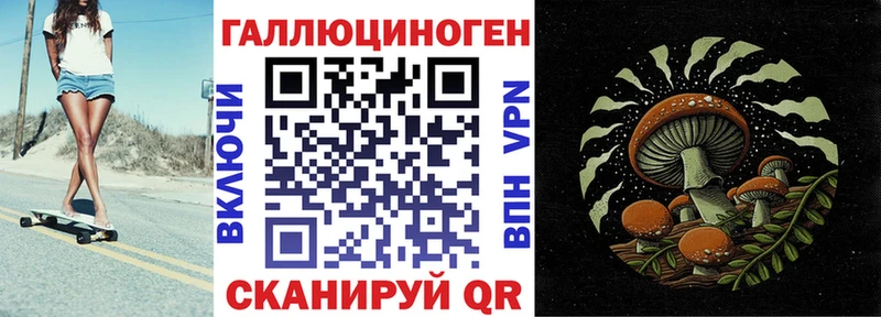 цена   Пестово  Псилоцибиновые грибы MAGIC MUSHROOMS 